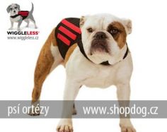 ps ortza WiggleLess L regular - www.shopdog.cz