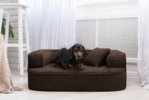 ortopedick pelech, sofa pro psa LOTTE velikost M hnd 1 - pohled 3 - www.shopdog.cz