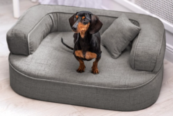 ortopedick pelech, sofa pro psa LOTTE velikost M grafit 1 - pohled 1 - www.shopdog.cz