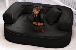 ortopedick pelech, sofa pro psa LOTTE velikost M ern 1 - pohled 1 - www.shopdog.cz