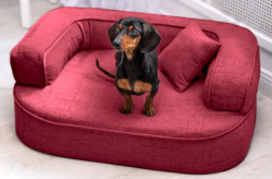 ortopedick pelech, sofa pro psa LOTTE velikost M bordov 1 - pohled 1 - www.shopdog.cz