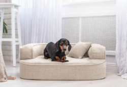 ortopedick pelech, sofa pro psa LOTTE velikost M bov 1 - pohled 1 - www.shopdog.cz