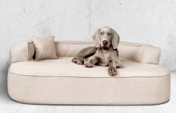 ortopedick pelech, sofa pro psa LOTTE velikost XXL bov 4 - pohled 1 - www.shopdog.cz