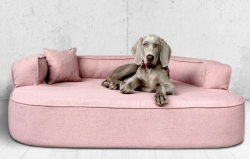 ortopedick pelech, sofa pro psa LOTTE velikost XXL rov 4 - pohled 1 - www.shopdog.cz