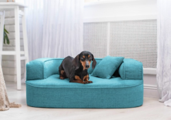 ortopedick pelech, sofa pro psa LOTTE velikost M tyrkys 1 - pohled 1 - www.shopdog.cz