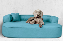 ortopedick pelech, sofa pro psa LOTTE velikost XXL tyrkys 4 - pohled 1 - www.shopdog.cz