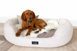 ortopedick pelech BALOU Visco Plus velikost XL bov 1 - www.shopdog.cz