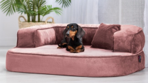 ortopedick sofa pro psa Sharleen rov velikost M